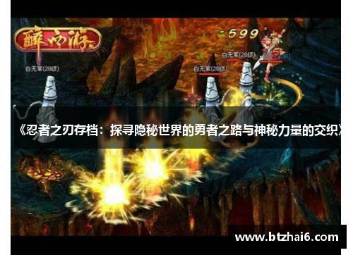 《忍者之刃存档：探寻隐秘世界的勇者之路与神秘力量的交织》